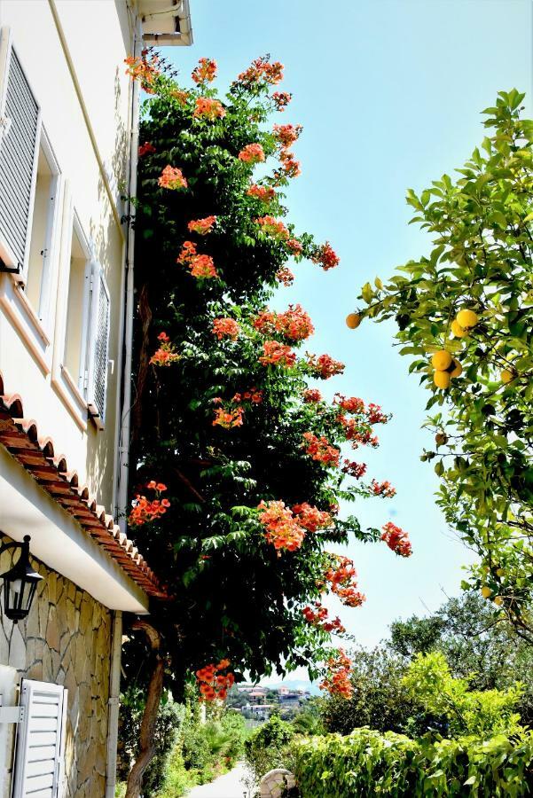 Villa Dionysios Keri Екстер'єр фото